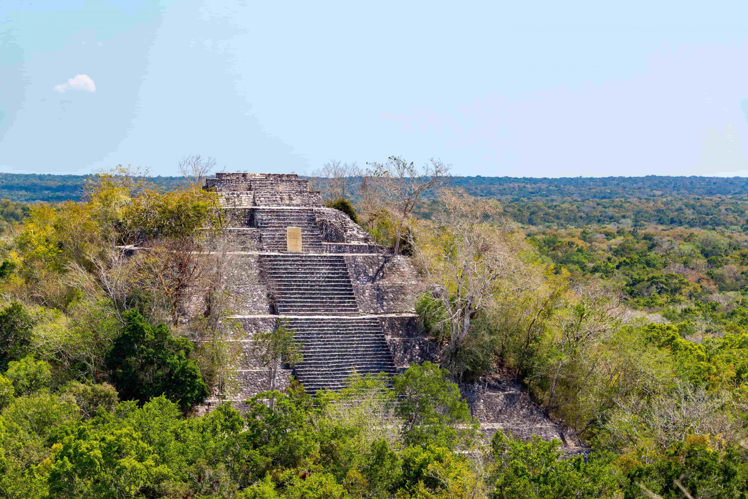 Calakmul-Maya-Pyramids-1-scaled.jpg